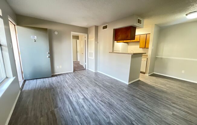 1 bed, 1 bath, 532 sqft, $740, Unit 1205