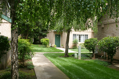 1 bed, 1 bath, 650 sqft, $1,150, Unit 21