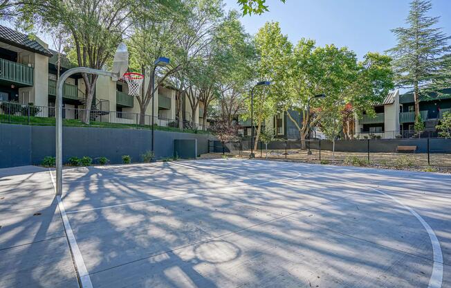 New basketball/sports court at Treehouse Apartments in Albuquerque, New Mexico