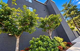 Lakeview Court Apartments
