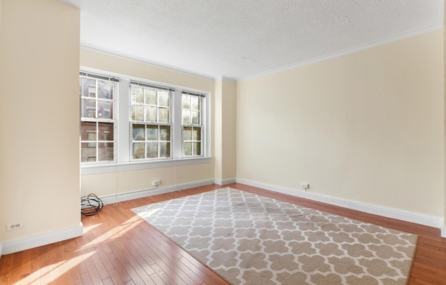 1 bed, 1 bath, 513 sqft, $3,200, Unit 302