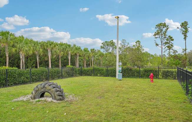a tire in a field with a fire hydrant and a pole