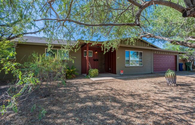 Gorgeous Tempe Home with Saltillo Tile and Resort-Style Backyard