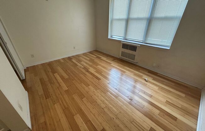Studio, 1 bath, $750, Unit 310