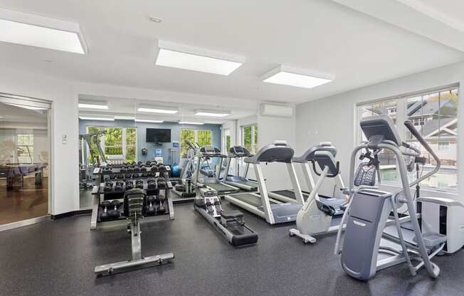 A gym with treadmills, weights, and exercise machines.