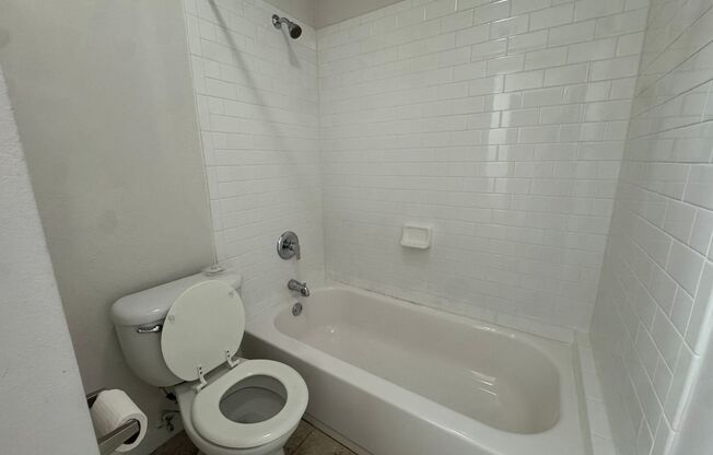 2 beds, 1 bath, 900 sqft, $1,145, Unit ELP2202-232