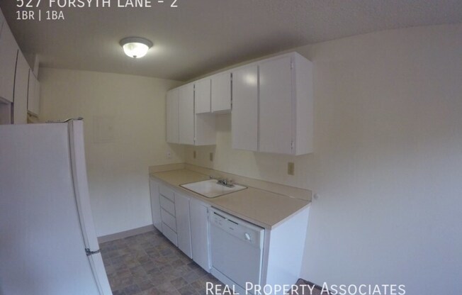 527 FORSYTH LN