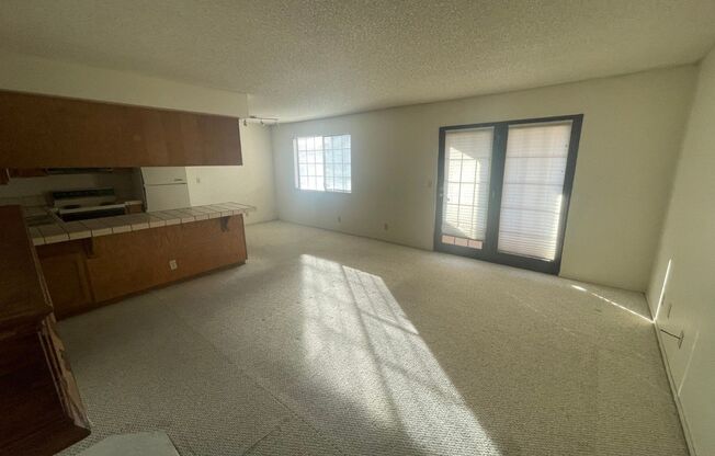 1 bed, 1 bath, $975, Unit #241