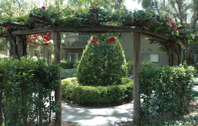 a christmas tree in a garden under a pergola