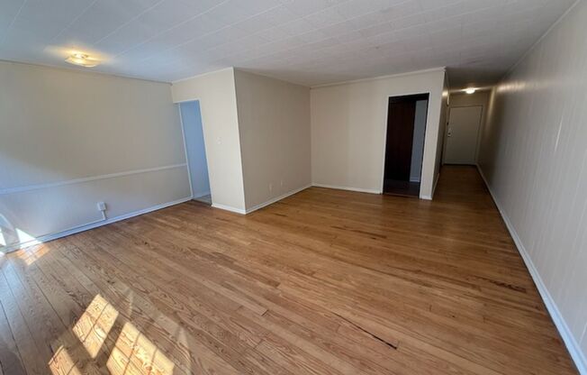 Studio, 1 bath, 487 sqft, $1,300, Unit Fifth 308