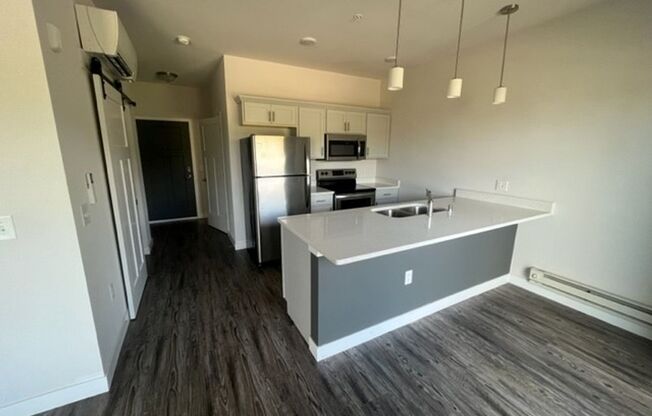 1 bed, 1 bath, 580 sqft, $1,295, Unit 2515-110