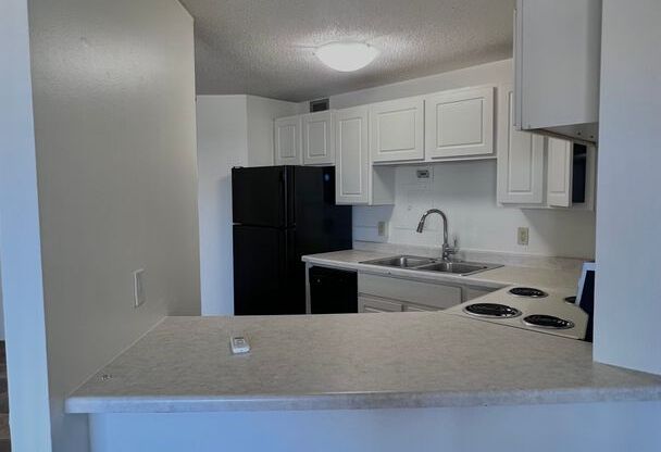 2 beds, 1 bath, 710 sqft, $1,250, Unit # 1309