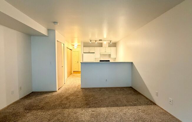 Studio, 1 bath, 483 sqft, $1,450, Unit 308
