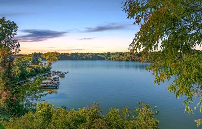 Lake View at The Waverly, Belleville, Michigan