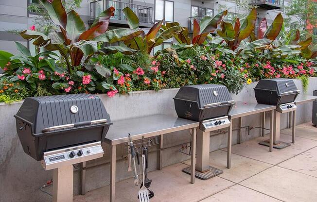 outdoor grilling stations