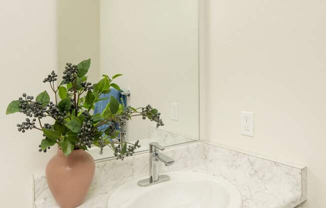 Bathroom Vanity Streamliner 67th in Phoenix Arizona