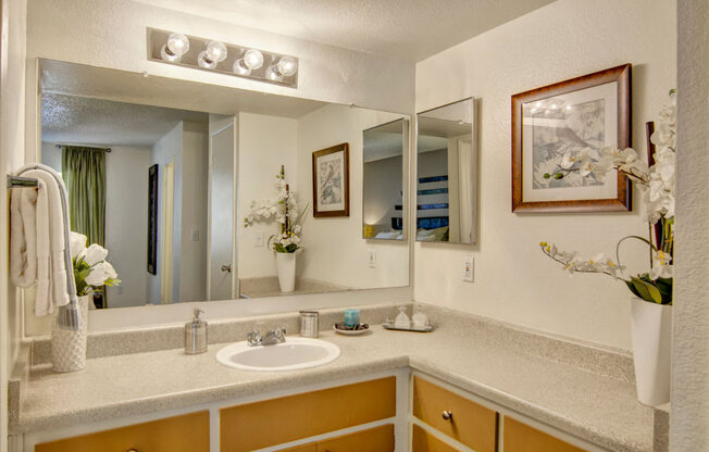 Paradise Falls Bathroom