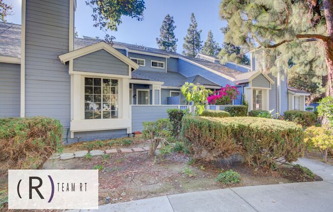 Stunning and Modern Newly Painted Haven in Walnut