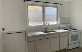 3117-3121 Paliuli St #1-4