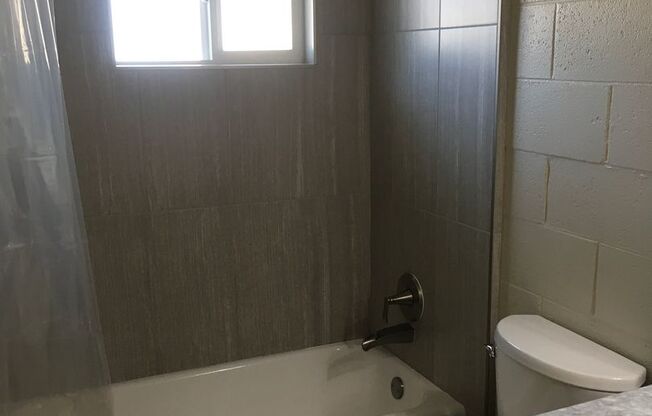 Studio, 1 bath, 380 sqft, $895, Unit 3