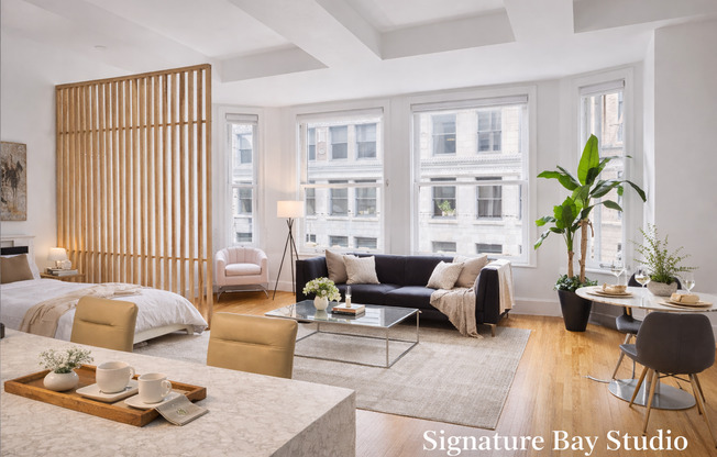 Studio, 1 bath, 434 sqft, $2,450, Unit 700