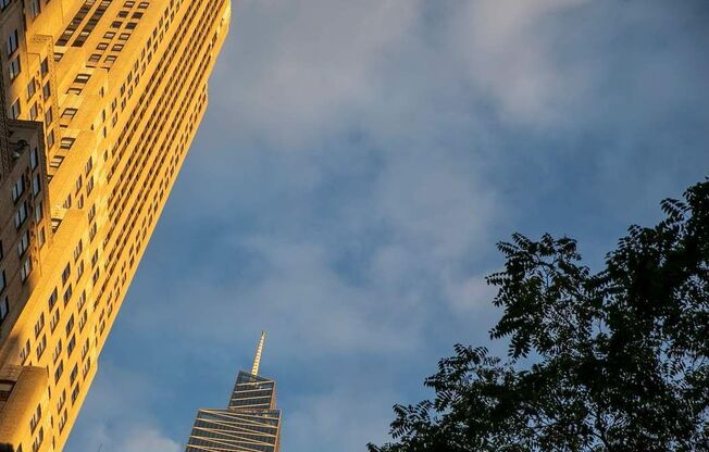 244 Madison Ave. 10-L