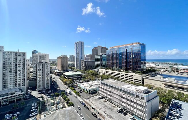 1 bed, 1 bath, $3,300