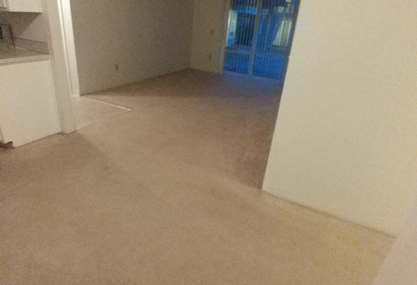 2 beds, 1 bath, $1,369