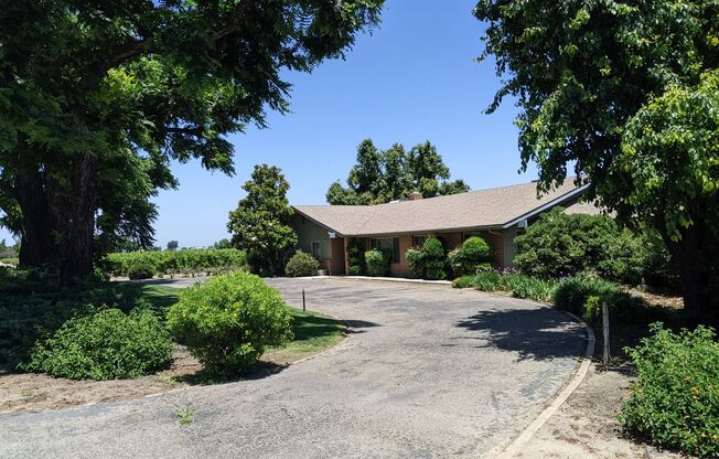 Large rural home with nice updates and wonderful amenities including updated fixtures, spacious bedrooms, a living room + family room, a large backyard, lots of storage potential and a large storage shed included.