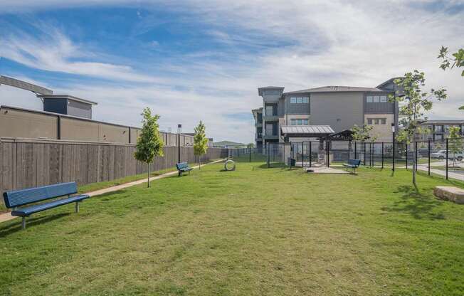 A grassy area with benches and a building in the background.