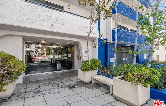 Studio, 1 bath, 377 sqft, $2,550, Unit 544
