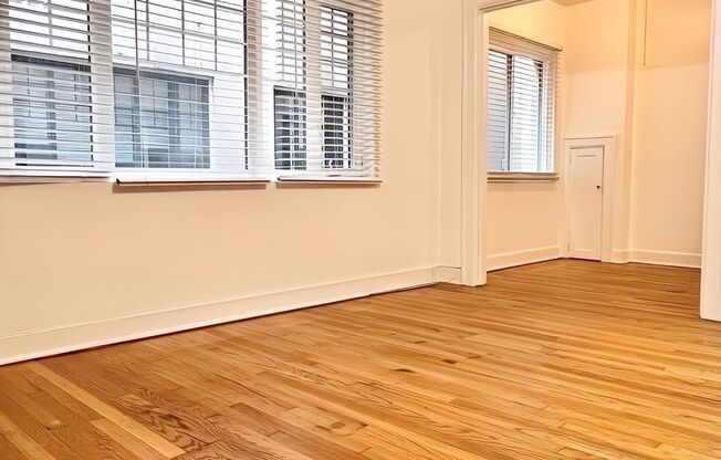 Studio, 1 bath, 467 sqft, $1,030, Unit 207