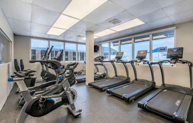 1 bed, 1 bath, $2,500, Unit UNIT 114