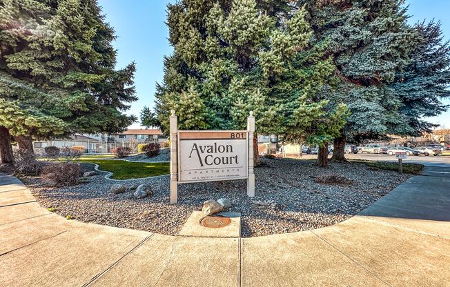 Avalon Court Apartments