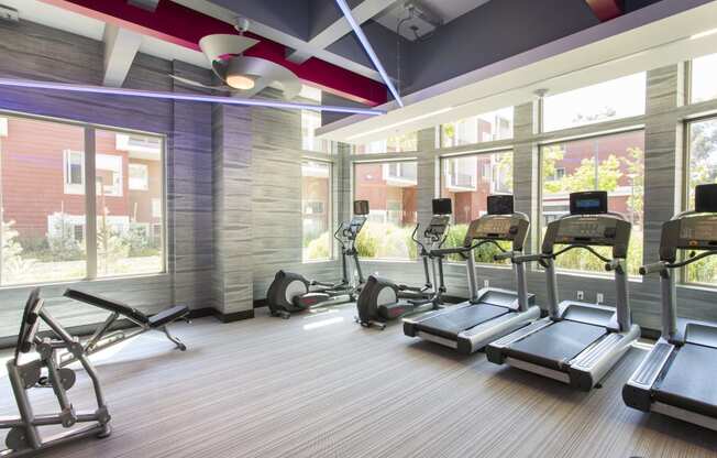 a room filled with cardio equipment and large windows