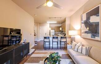 A living room with a television, couch, and a plant.