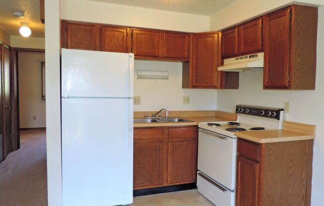 $875 | 1 Bedroom, 1 Bathroom Condo | Cat Friendly | Available for August 1st, 2024 Move In!