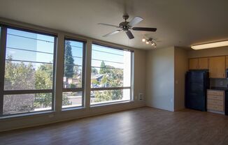 Studio, 1 bath, $1,165, Unit 202