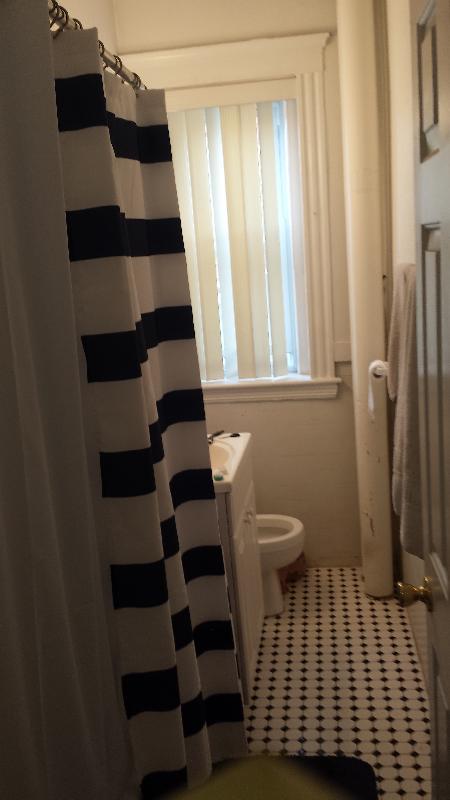 Studio, 1 bath, 330 sqft, $2,400, Unit 10