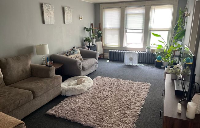 1 bed, 1 bath, $950, Unit Amherst, 405