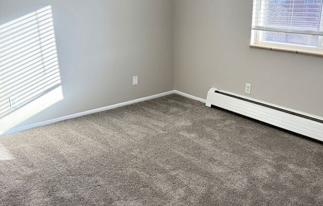 Convenient 1 Bed / 1 Bath Apartment in Lakewood