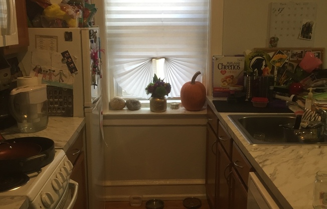1 bed, 1 bath, 400 sqft, $1,175, Unit 3E