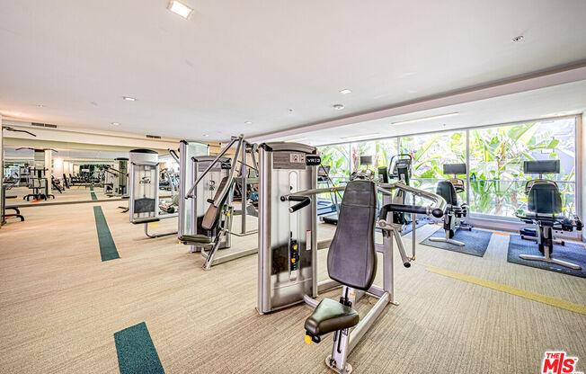 1 bed, 2 baths, 1,130 sqft, $2,700, Unit 313