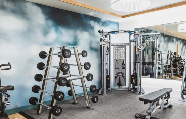 Fitness studio features weight stations including free weights and weight machines