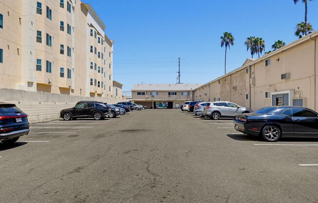 1 bed, 1 bath, 557 sqft, $1,950, Unit #102
