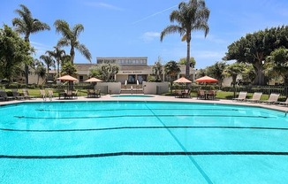 A large swimming pool surrounded by palm trees and lounge chairs.