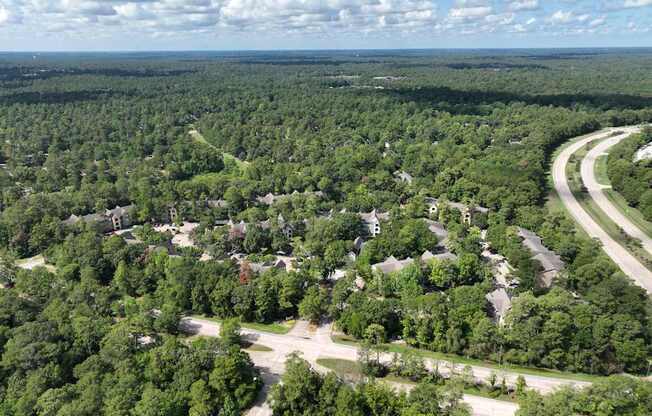 A bird's eye view of a residential area surrounded by a dense forest.