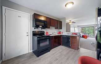 kitchen with plank flooring