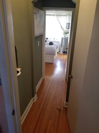 1 bed, 1 bath, 573 sqft, $1,069, Unit 204