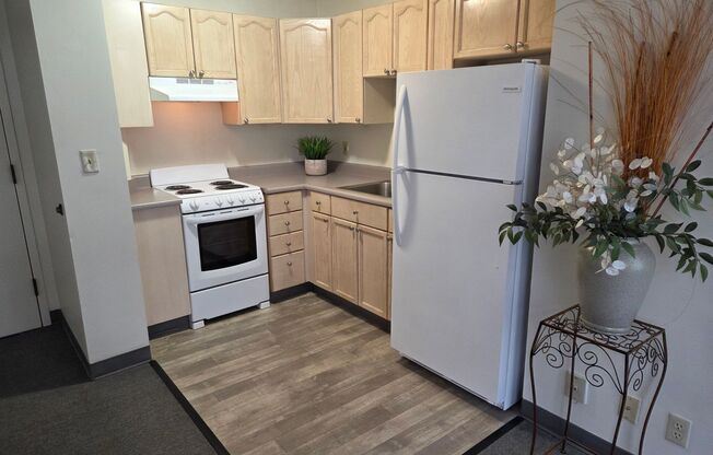 1 bed, 1 bath, 458 sqft, $1,520, Unit 704